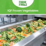 IQF Frozen Vegetables