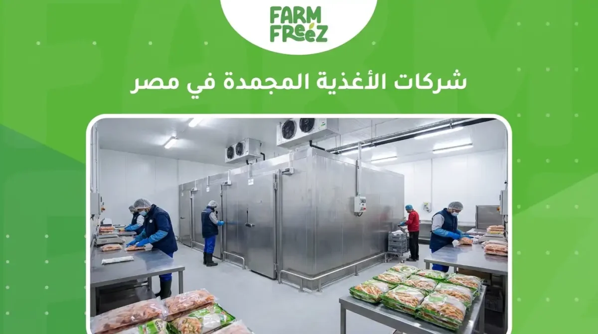 شركات الأغذية المجمدة في مصر