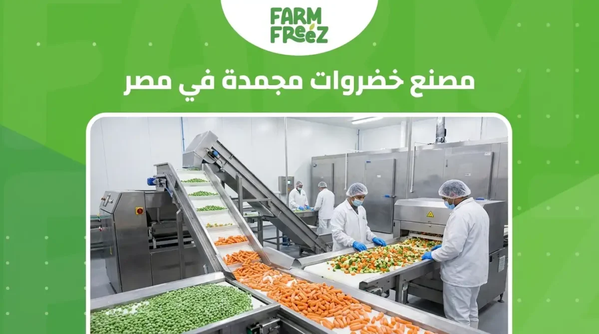 مصنع خضروات مجمدة في مصر