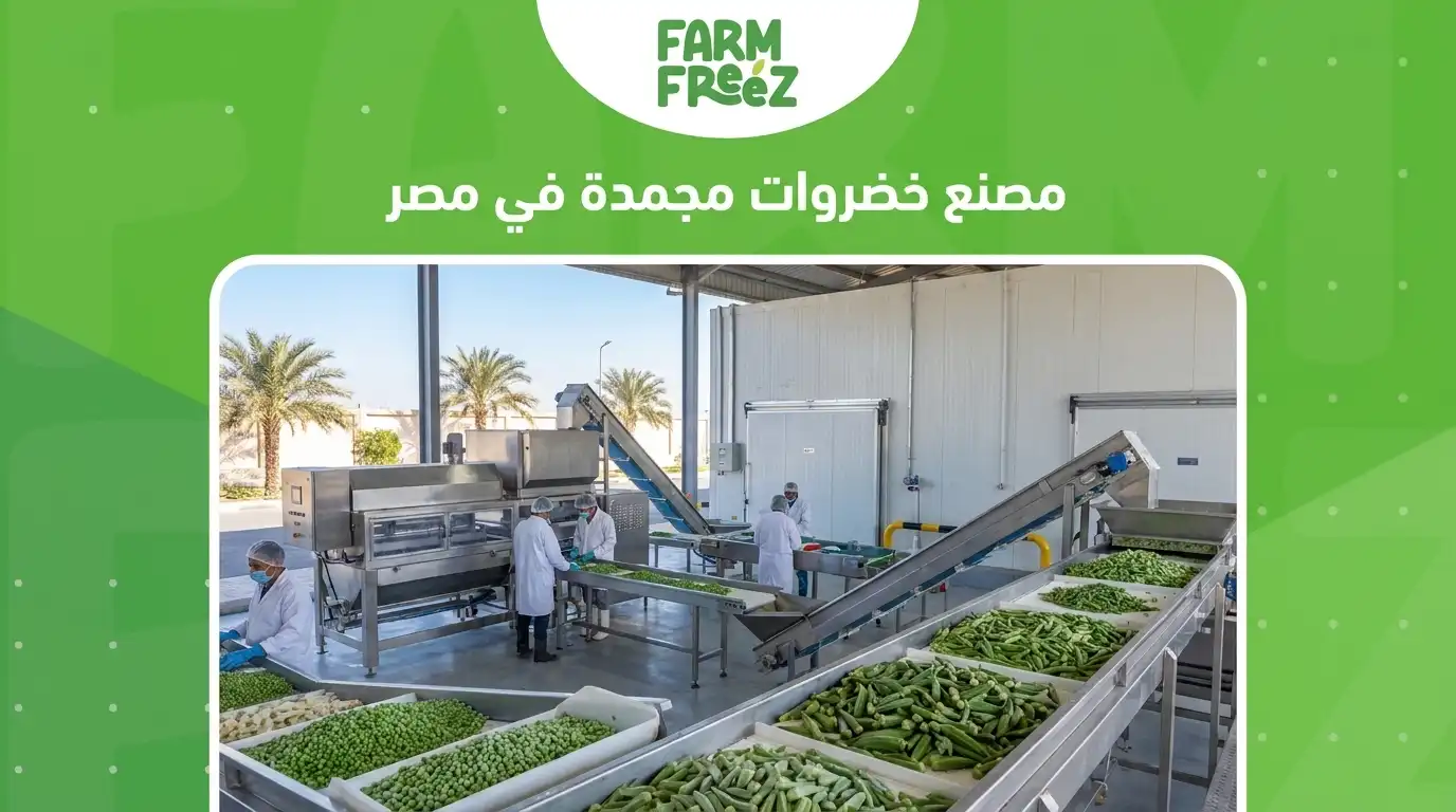 مصنع خضروات مجمدة في مصر